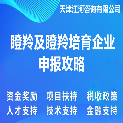 瞪羚企业认定(咨询服务)